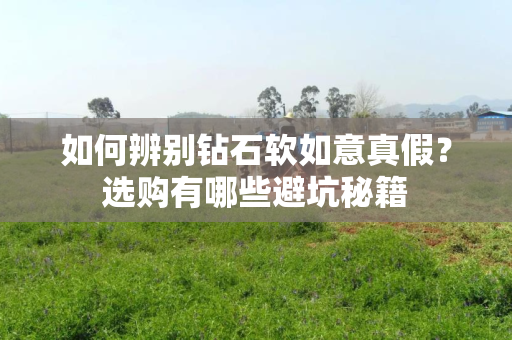 如何辨别钻石软如意真假？选购有哪些避坑秘籍